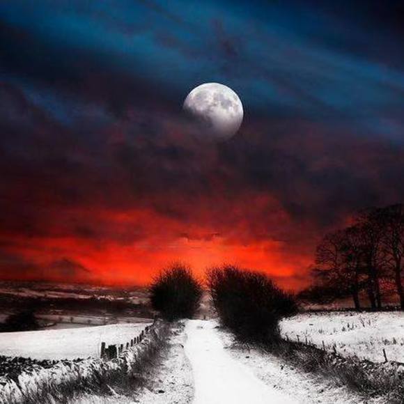 Meet your Posher, Andrea - Picture 1 of 1